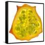 Kiwano Horned Melon Slice-Steve Gadomski-Framed Stretched Canvas