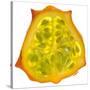 Kiwano Horned Melon Slice-Steve Gadomski-Stretched Canvas