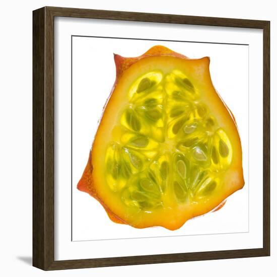 Kiwano Horned Melon Slice-Steve Gadomski-Framed Photographic Print