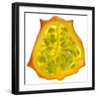 Kiwano Horned Melon Slice-Steve Gadomski-Framed Photographic Print