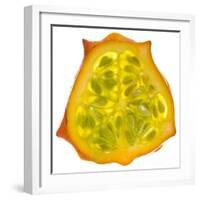 Kiwano Horned Melon Slice-Steve Gadomski-Framed Photographic Print