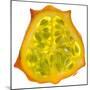 Kiwano Horned Melon Slice-Steve Gadomski-Mounted Photographic Print