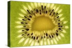 Kiwi (Actinidia chinensis) close-up of slice, showing seeds-David Burton-Stretched Canvas