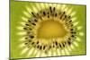 Kiwi (Actinidia chinensis) close-up of slice, showing seeds-David Burton-Mounted Photographic Print