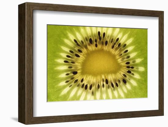 Kiwi (Actinidia chinensis) close-up of slice, showing seeds-David Burton-Framed Photographic Print