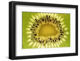 Kiwi (Actinidia chinensis) close-up of slice, showing seeds-David Burton-Framed Photographic Print