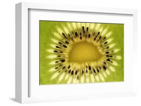 Kiwi (Actinidia chinensis) close-up of slice, showing seeds-David Burton-Framed Photographic Print