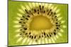 Kiwi (Actinidia chinensis) close-up of slice, showing seeds-David Burton-Mounted Photographic Print