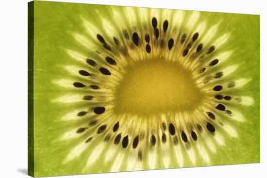 Kiwi (Actinidia chinensis) close-up of slice, showing seeds-David Burton-Stretched Canvas