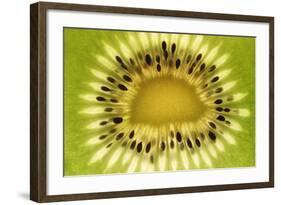 Kiwi (Actinidia chinensis) close-up of slice, showing seeds-David Burton-Framed Photographic Print