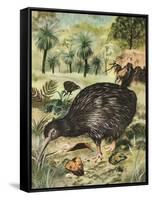 Kiwi Bird-English School-Framed Stretched Canvas