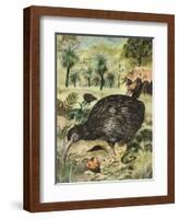 Kiwi Bird-English School-Framed Giclee Print