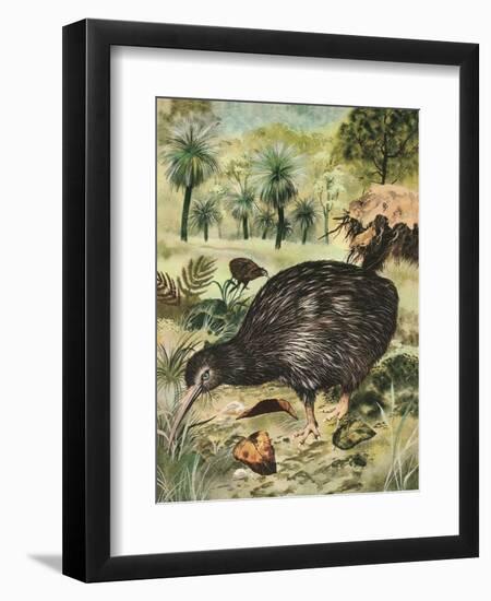 Kiwi Bird-English School-Framed Giclee Print