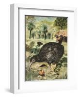 Kiwi Bird-English School-Framed Giclee Print