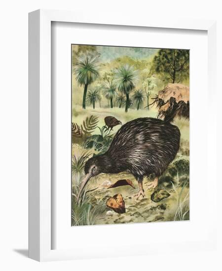Kiwi Bird-English School-Framed Giclee Print