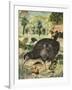 Kiwi Bird-English School-Framed Giclee Print