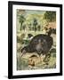 Kiwi Bird-English School-Framed Giclee Print