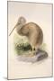 Kiwi, C.1850-Joseph Wolf-Mounted Giclee Print