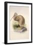 Kiwi, C.1850-Joseph Wolf-Framed Giclee Print