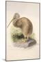 Kiwi, C.1850-Joseph Wolf-Mounted Giclee Print