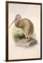 Kiwi, C.1850-Joseph Wolf-Framed Giclee Print