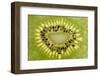 Kiwi Detail-Steve Gadomski-Framed Photographic Print