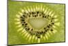 Kiwi Detail-Steve Gadomski-Mounted Photographic Print