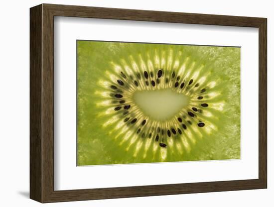 Kiwi Detail-Steve Gadomski-Framed Premium Photographic Print