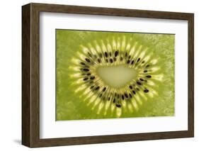 Kiwi Detail-Steve Gadomski-Framed Premium Photographic Print