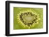 Kiwi Detail-Steve Gadomski-Framed Premium Photographic Print