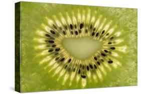 Kiwi Detail-Steve Gadomski-Stretched Canvas