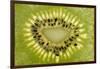 Kiwi Detail-Steve Gadomski-Framed Photographic Print