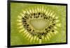 Kiwi Detail-Steve Gadomski-Framed Photographic Print