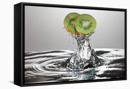 Kiwi FreshSplash-Steve Gadomski-Framed Stretched Canvas