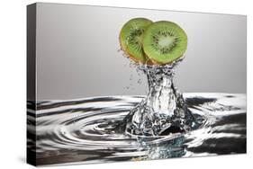 Kiwi FreshSplash-Steve Gadomski-Stretched Canvas