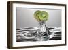 Kiwi FreshSplash-Steve Gadomski-Framed Photographic Print