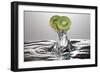 Kiwi FreshSplash-Steve Gadomski-Framed Photographic Print