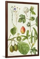 Kiwi Fruit and Other Plants-Elizabeth Rice-Framed Giclee Print