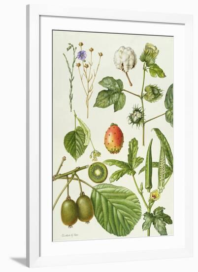 Kiwi Fruit and Other Plants-Elizabeth Rice-Framed Giclee Print