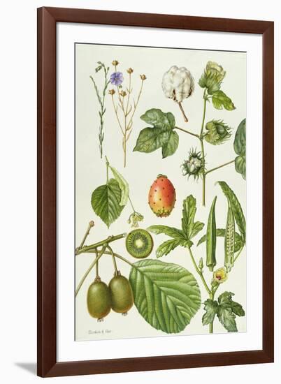 Kiwi Fruit and Other Plants-Elizabeth Rice-Framed Giclee Print