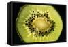 Kiwi Fruit Cross Section Showing Seeds-null-Framed Stretched Canvas