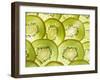 Kiwi Fruit Slices-null-Framed Photographic Print