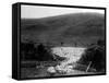 Kiwi Sheep Farming-null-Framed Stretched Canvas