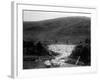 Kiwi Sheep Farming-null-Framed Photographic Print