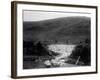 Kiwi Sheep Farming-null-Framed Photographic Print