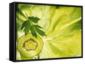 Kiwi Slice and Sprig of Parsley on a Lettuce Leaf-Peter Rees-Framed Stretched Canvas