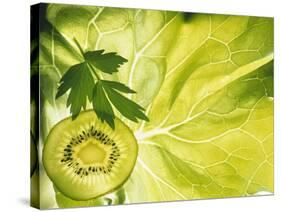 Kiwi Slice and Sprig of Parsley on a Lettuce Leaf-Peter Rees-Stretched Canvas