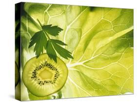 Kiwi Slice and Sprig of Parsley on a Lettuce Leaf-Peter Rees-Stretched Canvas