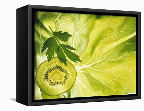 Kiwi Slice and Sprig of Parsley on a Lettuce Leaf-Peter Rees-Framed Stretched Canvas