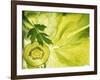 Kiwi Slice and Sprig of Parsley on a Lettuce Leaf-Peter Rees-Framed Photographic Print